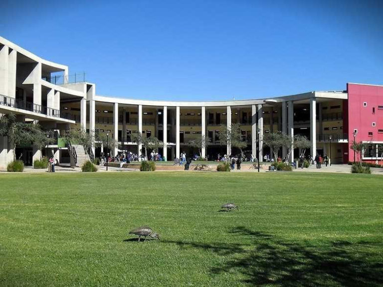 Photo of a university building at the University of the Witwatersrand with grass in front and blue sky above.